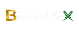 BERENJEX