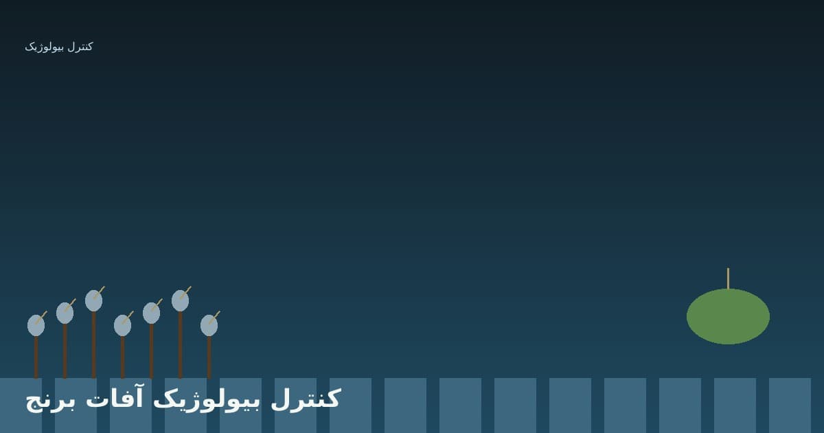 کنترل بیولوژیک آفات برنج: سالم‌ترین روش‌های مبارزه با سوسک و ساقه‌خوار
