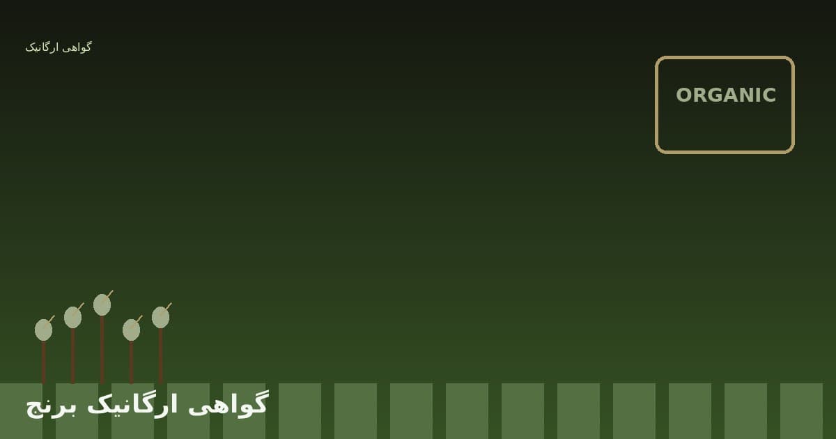 گواهی ارگانیک برنج در ایران: مسیر اخذ، هزینه و مزیت بازار