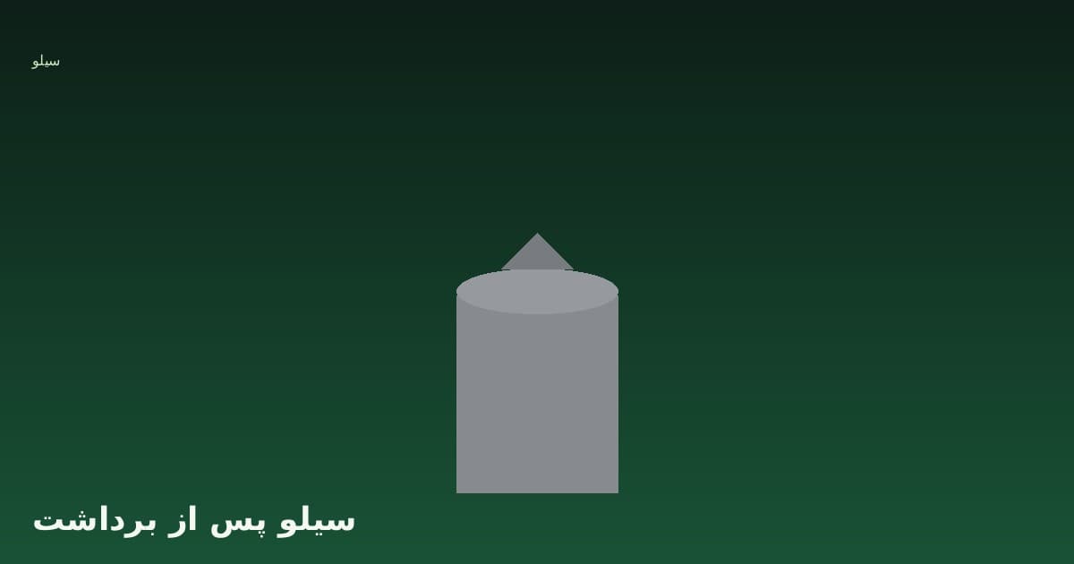 سیلو و انبار پس از برداشت: طراحی برای شلتو و برنج سفید