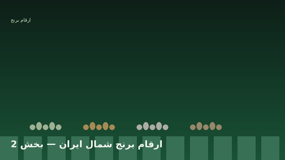 ارقام پرطرفدار فجر، هاشمی، طارم و شیرودی