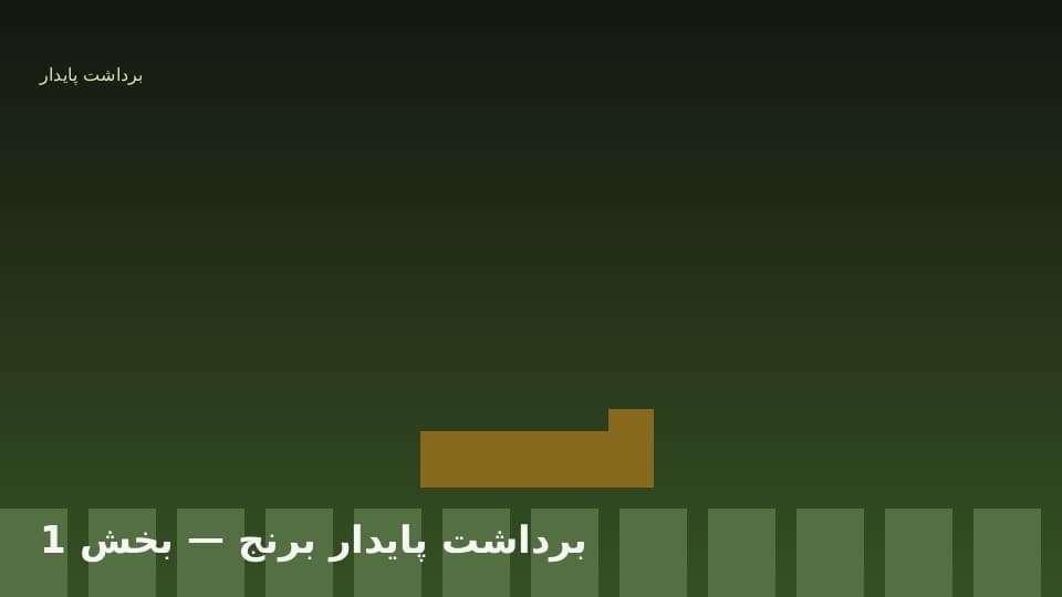 زمان‌بندی دقیق برداشت برنج