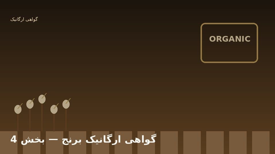 بازار ممتاز و صادرات